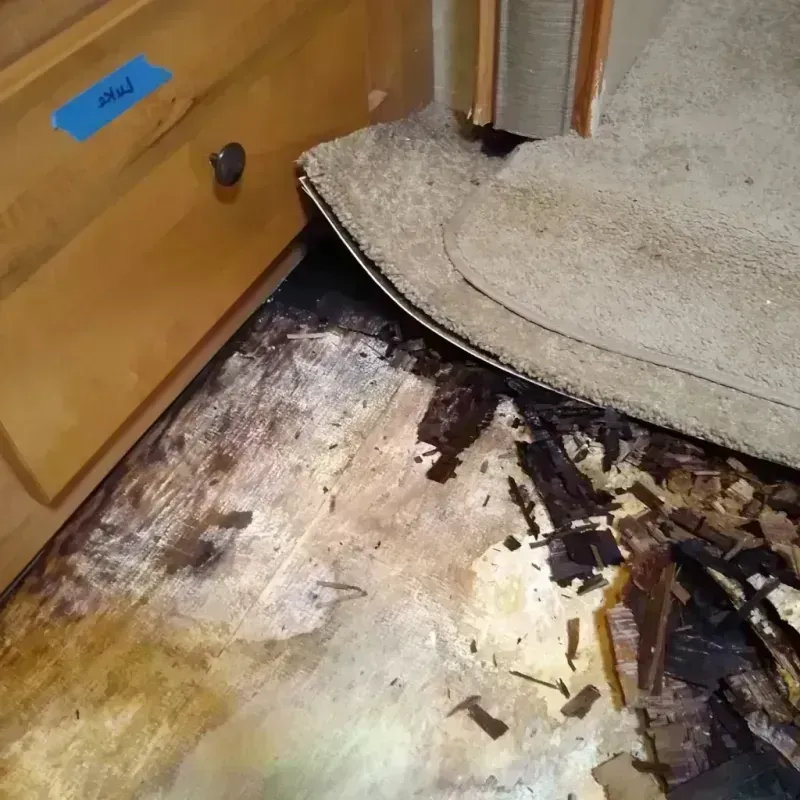 Best Wood Floor Water Damage Service in Montesano, WA